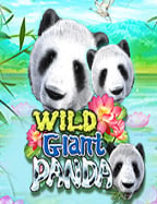 เว็บ แทง ไพ่ ทดลองเล่นสุดมันส์ ที่คุณต้องไม่พลาด